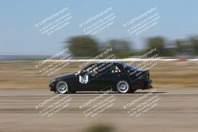 media/Oct-04-2025-OnGrid (Sat) [[44bd565ffa]]/Pink Group/Grapevine/